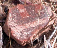 A painted pottery fragment