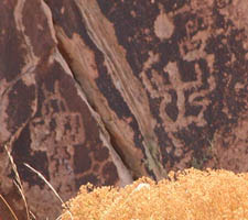 A few petroglyphs behind brush.