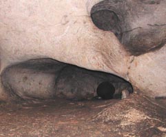 The porous cave provides natural shelves and pockets for pots.