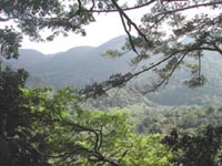 the view at the top of the falls