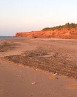 red sand beach