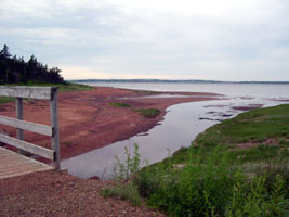 Bridge on path over water and red sand