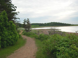 Dirt path curves along the shore