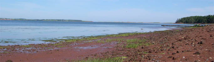 View of the sandbar from the bay