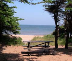 picnic table at campsite