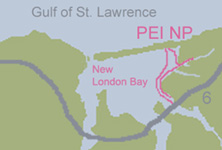 Our path in ink in New London bay