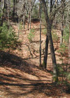 Path in the woods to get to wide trail