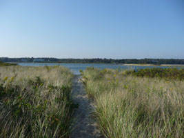 Path from parking lot to launch