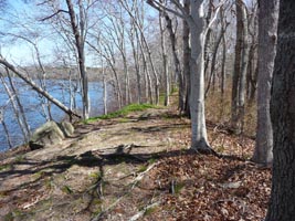 The beginnning of the trail hugs Dennis Pond