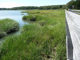 Waterway under bridge on trail