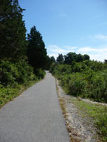 trail opens up to see sky