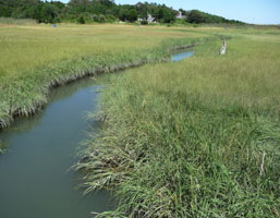 View of the waterway from the other side of the bridge