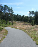 Trail near Ruth Pond