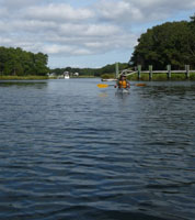 Bill paddling