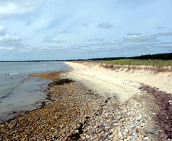 rocky beach on the ocean side of Dead Nexk