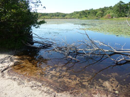 Pond at parking area