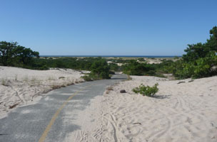 Trail being coveredd by blown sand