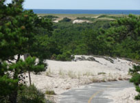 path on the dume