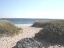 Shining Sea Beach on path