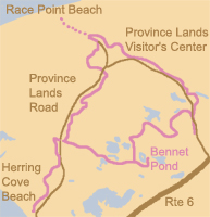 map of trail at racepoint