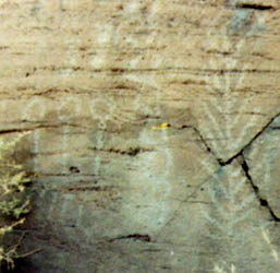 circles with lines below and plumelike petroglyph