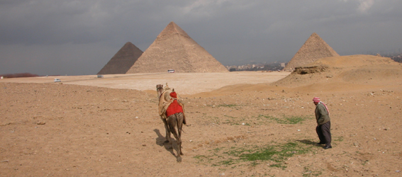 Camel with owner. Pyramids in the distance.