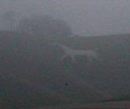 Cherhill Horse in the fog