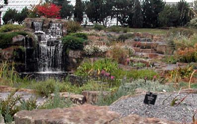 waterfalls in the background and small plants along the rocks