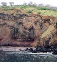 green grass on cliffs