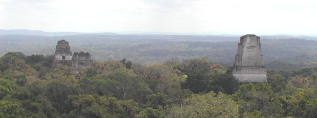 The view from Temple IV