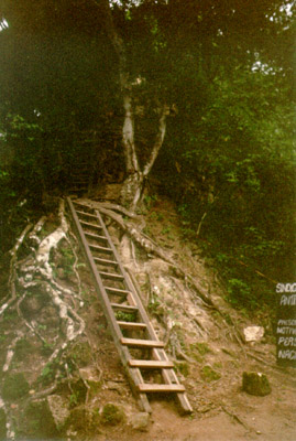 The base of the trail 1993