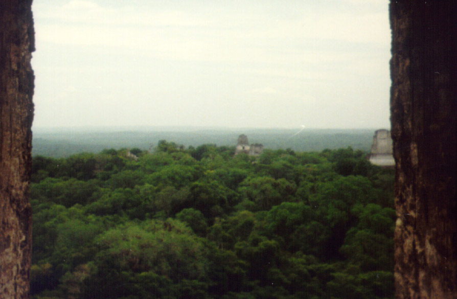 Tikal