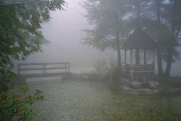 Gazebo in the mist