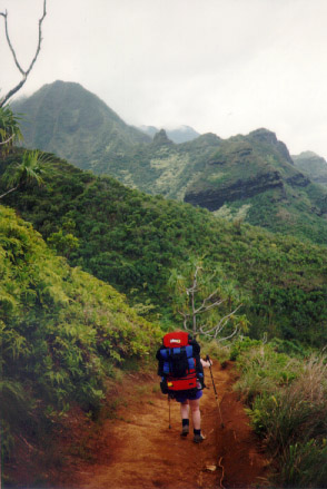 Cori hiking back down into the rainforest