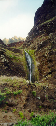 Waterfall on the Beach: Early Morning Shower