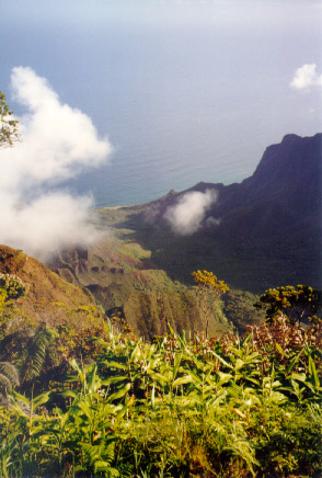 A view of Kalalau Beach from Waiamea