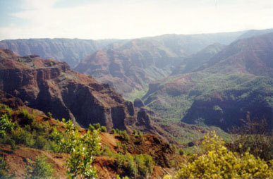 canyon walls