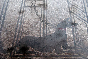 Beware of Dog mosaic floor