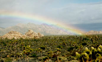 Rainbow over JTree