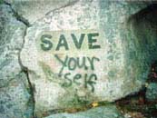 Save (2003 - vandalized with poor grammar)