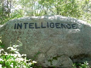 Intellegence (2011)