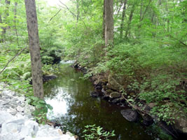 The stream below