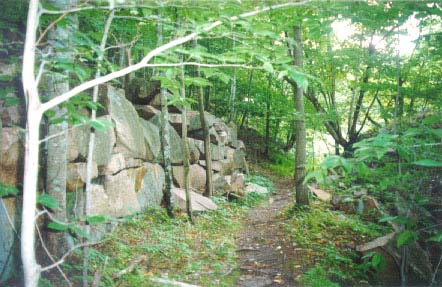 Wooded path