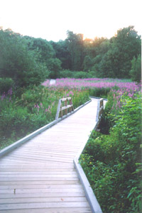 The first walking bridge