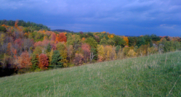 View from Scarlet Hill