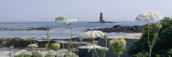 Light house with Queen Anne's Lace on island