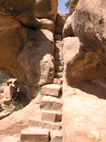 stairs on the trail