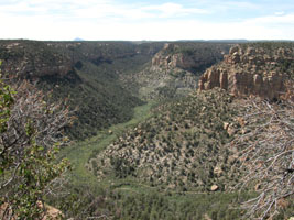 view into the canyon