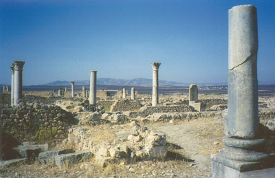 Volubilis is a short trip outside of Fez.  It can be combined with a trip to Meknes.