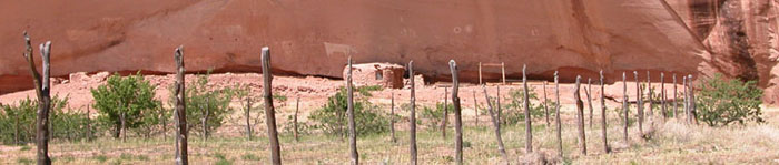 Standing Cow Ruins